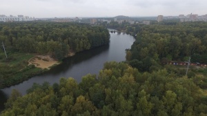 15 июня в Подмосковье начнется очистка рек