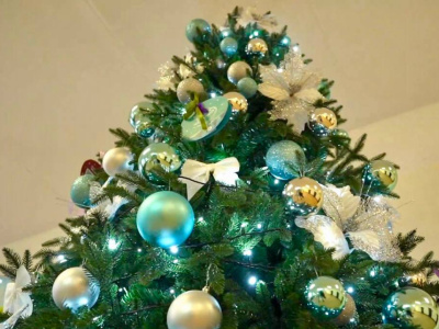  Егорьевская "Ёлка желаний" набирает обороты