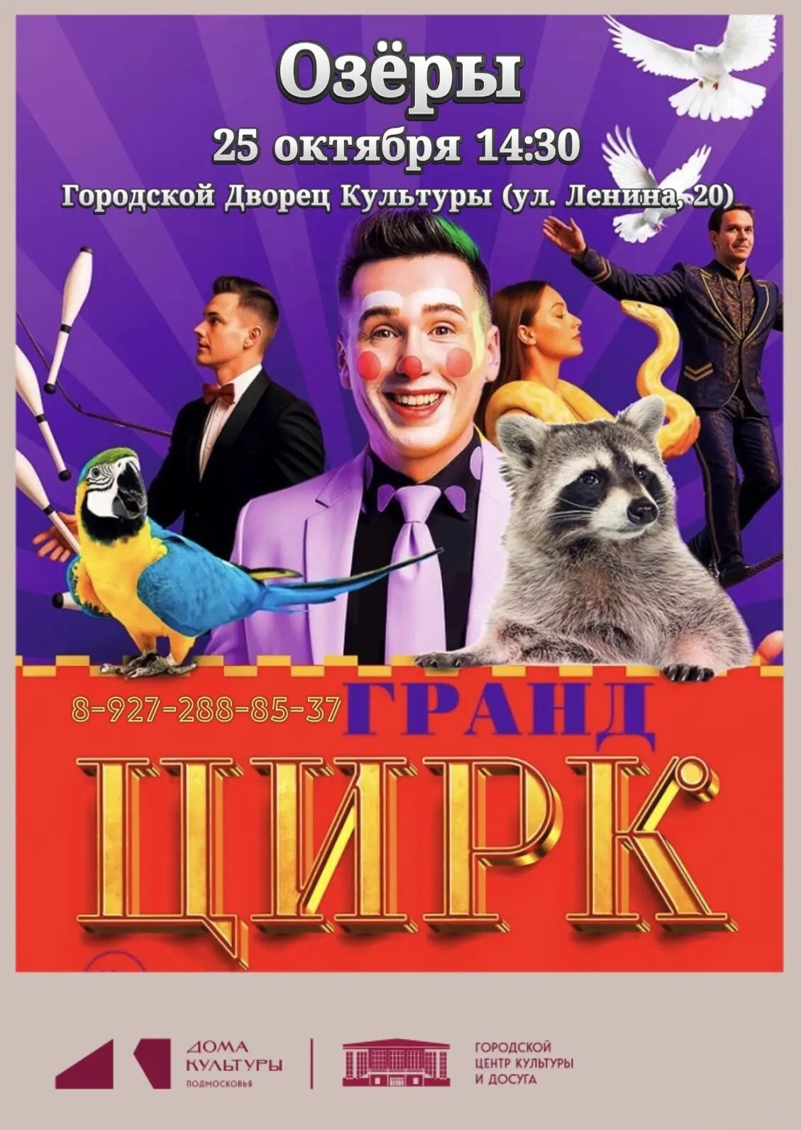 Цирк "Гранд": водоворот невероятных приключений!