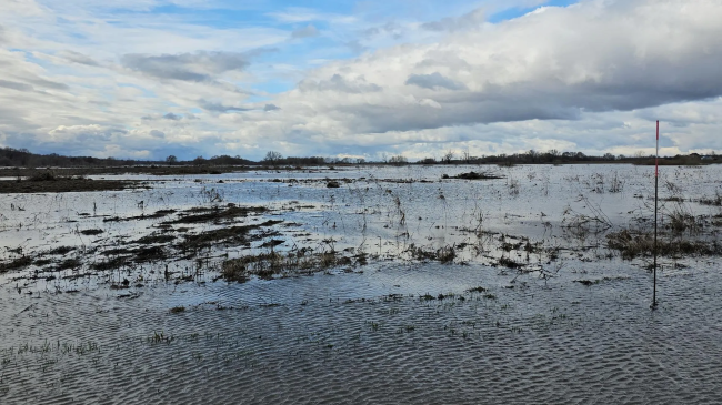 В Луховицах уровень воды в Оке снизился на 22 см, до 103,13 м
