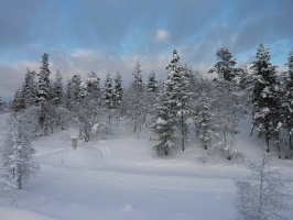 Облачная погода со снегом ожидается сегодня в Подмосковье