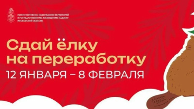 "Сдай ёлку на переработку"