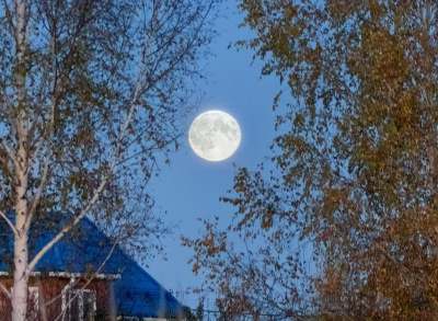 Жители Подмосковья увидят лунное затмение