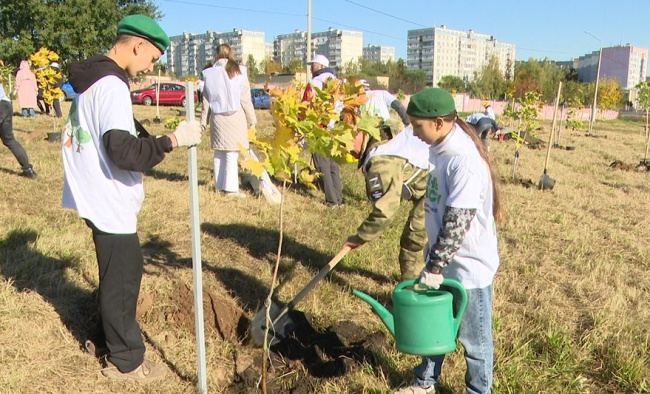 Сделали город чуточку лучше
