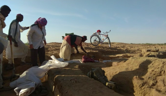 Коломенские археологи вернулись с раскопок в Северной Африке