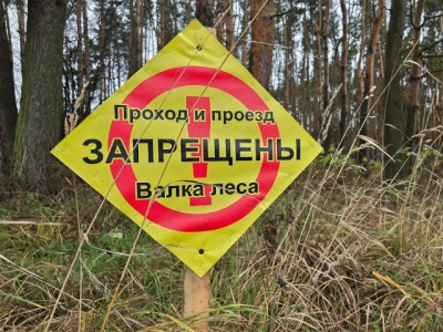 Около деревни Новосёлки проводят санитарную рубку из-за урагана