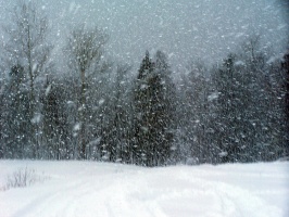 Снежная буря обрушится на регион 22 марта