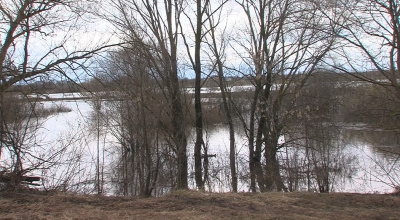 Половодье в Луховицах идёт на спад