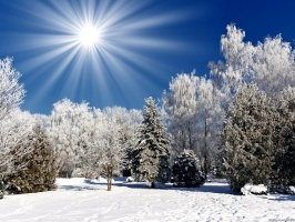 Солнечная и морозная погода ожидает Подмосковье в понедельник