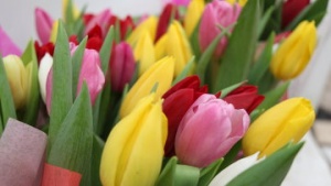 Продавцы предупредили о росте цен на цветы в московском регионе перед 8 марта