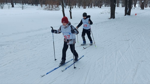 Школьники сдавали бег на лыжах