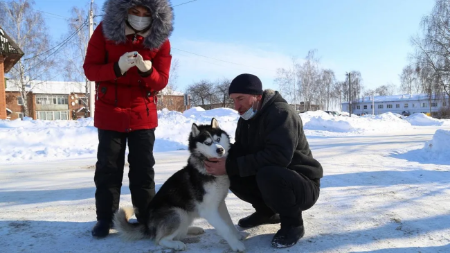 Бесплатная вакцинация от бешенства для животных в Луховицах 