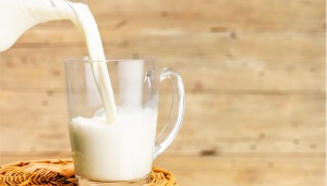 Бочки с молоком и квасом обойдутся без онлайн-касс