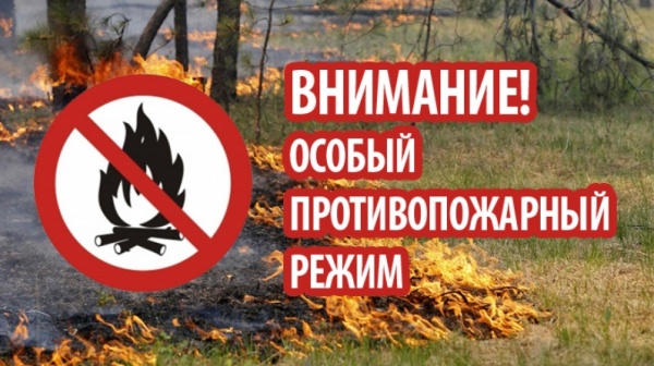 С 1 мая в Подмосковье вводят особый противопожарный режим