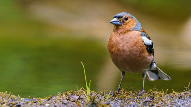 210 тысяч наблюдений