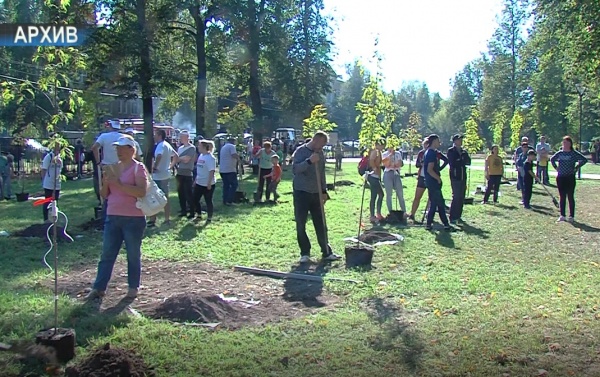 11 сентября в Подмосковье снова будут сажать деревья