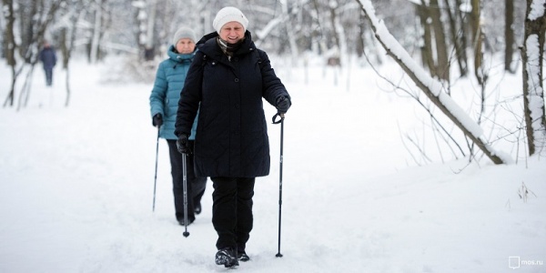 Скандинавская ходьба стала самой популярной
