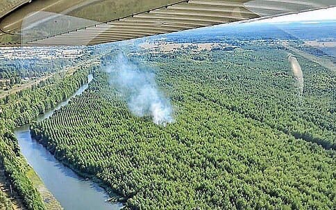 За выходные в Подмосковье 7 раз горели леса
