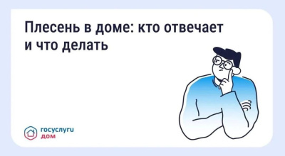 Правильный алгоритм борьбы с грибком на стенах в многоквартирном доме