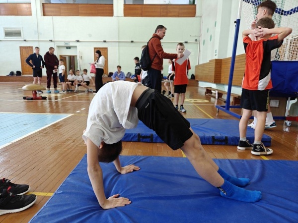 Коломенские школьники приняли участие в соревнованиях по спортивной гимнастике