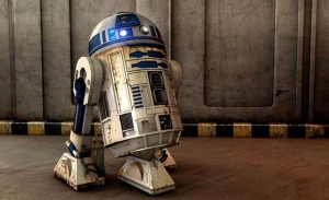Поросенок R2-D2: сельскохозяйственным животным присвоят идентификационные коды