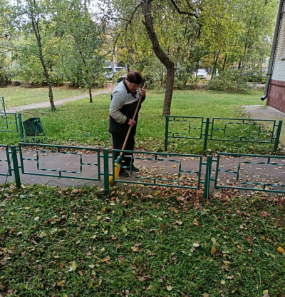 Сотрудники ДГХ собирают и вывозят листья