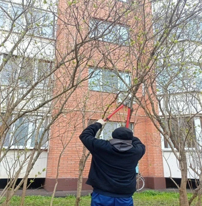 Сотрудники ДГХ убирают ветки деревьев на придомовых территориях