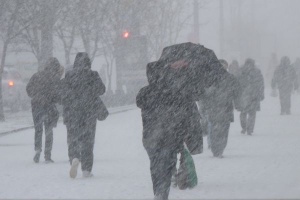 Синоптики обещают Подмосковью снег и порывистый ветер в пятницу