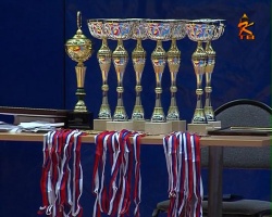 Кубок Коломенского кремля по армейскому рукопашному бою завоевала команда из Ступино