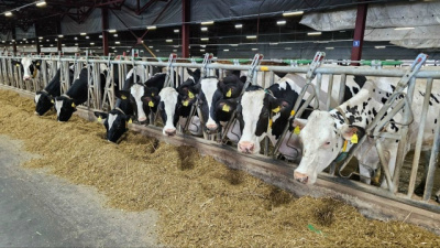 Итоги сельскохозяйственного сезона подвели в &quot;ОСП агро&quot;