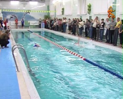 Самые маленькие пловцы ДЮСШ "Юниор" показали свое умение
