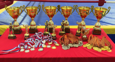 В Коломну приехали лучшие боксёры