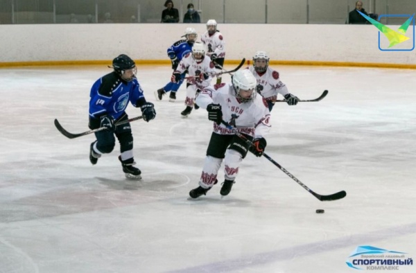 Юные хоккеисты Луховиц тренируются в Зарайске