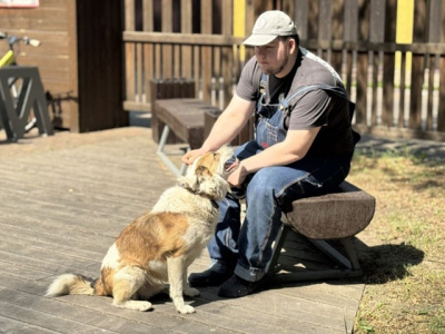 Мобильная ветеринарная станция приедет в Озёры