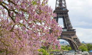 "Французская весна" придет в Коломну в феврале