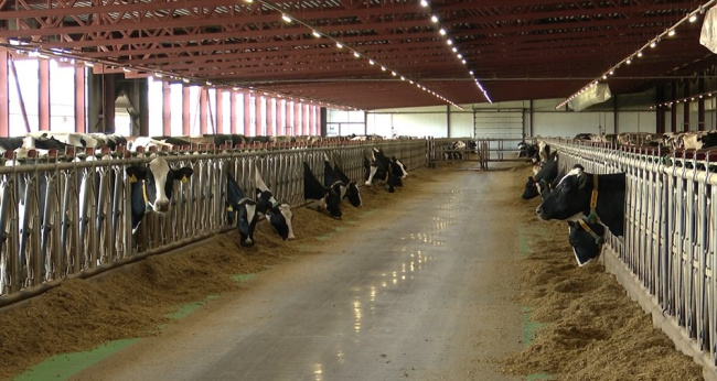 Как привлечь молодёжь к работе в аграрном секторе?