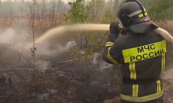 В Рязанской области больше недели продолжаются лесные пожары