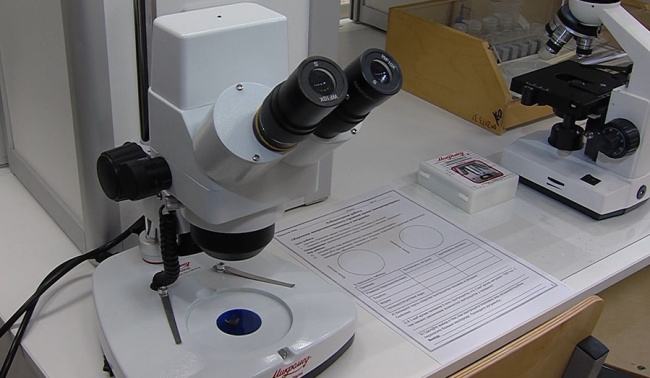 Новую лабораторию открыли в гимназии № 9