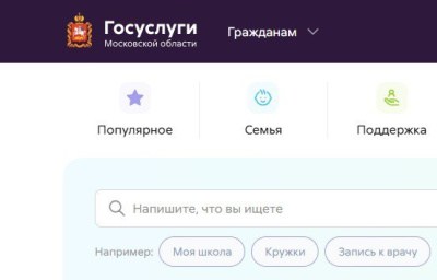 Замену паспорта в виде QR-кода готовят для жителей Подмосковья