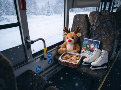 Алгоритм возврата забытых вещей в автобусах Подмосковья  