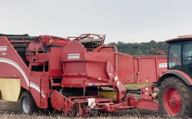 Озёрский агрохолдинг начал уборку картофеля