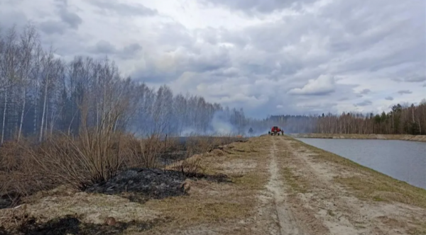 В Подмосковье потушили первые лесные пожары