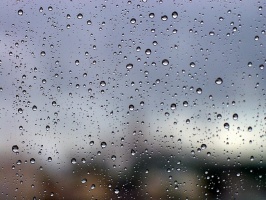 Дождливый день ожидается сегодня в Московской области
