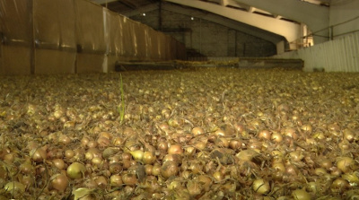 В Коломне подвели итоги уборки урожая