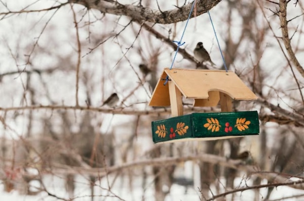 Стартовал Всероссийский фотоконкурс птичьих кормушек "Покормите птиц"
