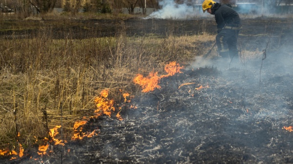 В Белоомуте произошел крупный лесной пожар
