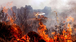 По вине человека происходит 98% лесных пожаров