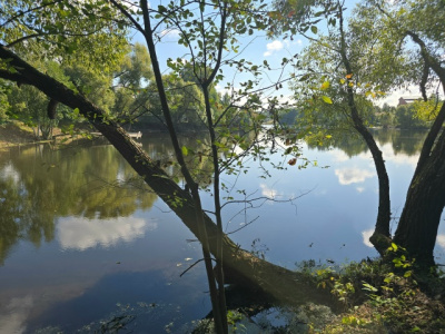 Два водоёма привели в порядок в городском округе Коломна