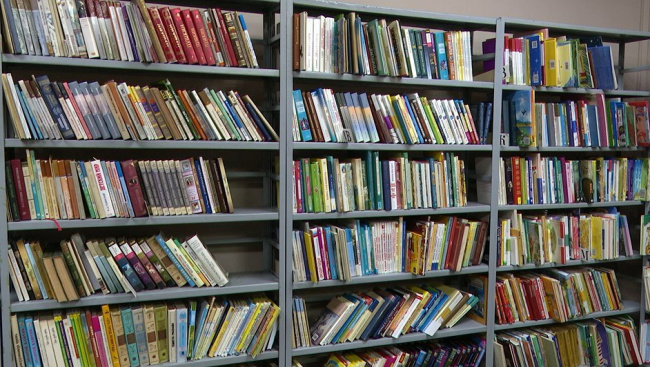 Место, где кипит жизнь