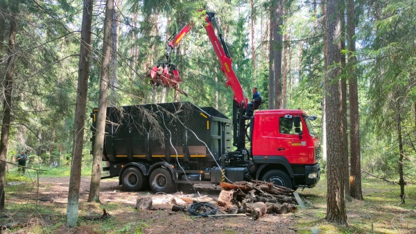 В Егорьевском округе ведут борьбу за чистоту лесов